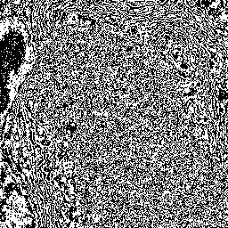 the lowest bit of the red channel in the original: noise with traces of the picture